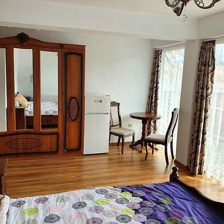 Casa Ionut Hotel Borsa  Bagian luar foto