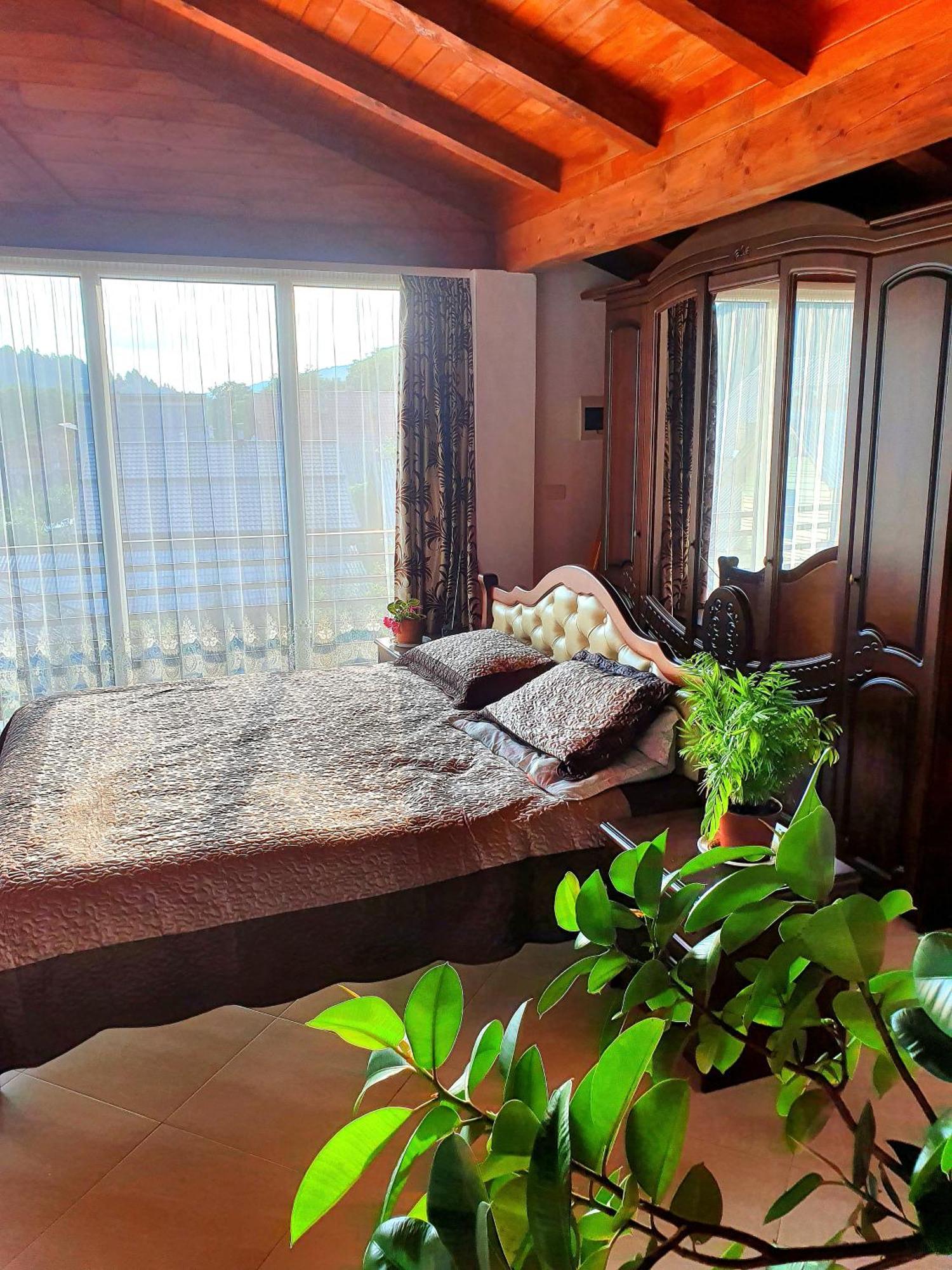 Casa Ionut Hotel Borsa  Bagian luar foto